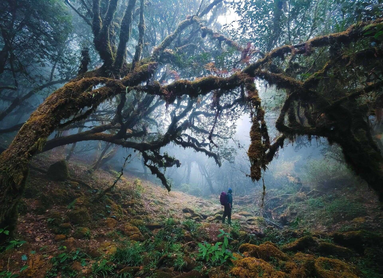 Discover The Fairytale-Like Beauty Of Sa Mu Mountain Peak