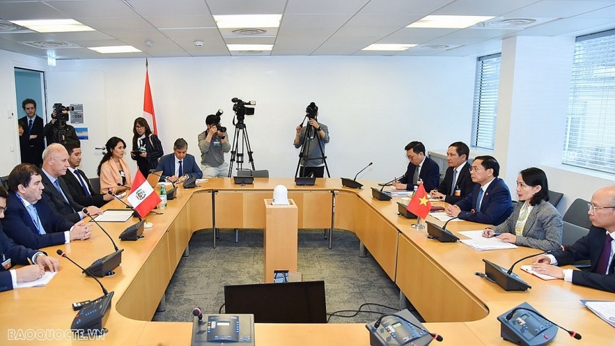 Vietnamese Foreign Minister Bui Thanh Son and his Peruvian counterpart Javier Gonzalez Olaechea meets in Paris on May 2, on the sidelines of the 2024 OECD Ministerial Council Meeting. (Photo: baoquocte.vn)