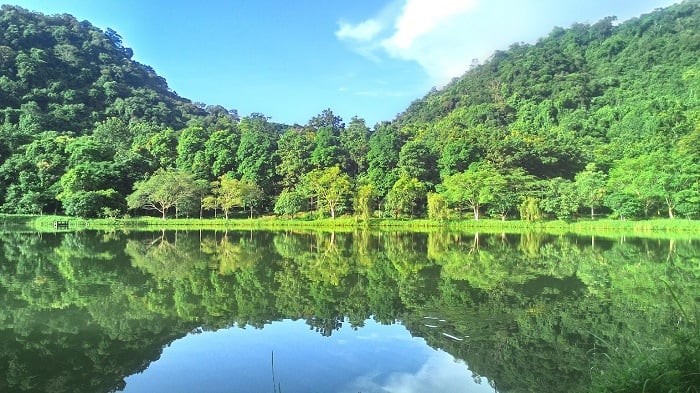 Enjoy A Peaceful Summer Vacation In Cuc Phuong National Park