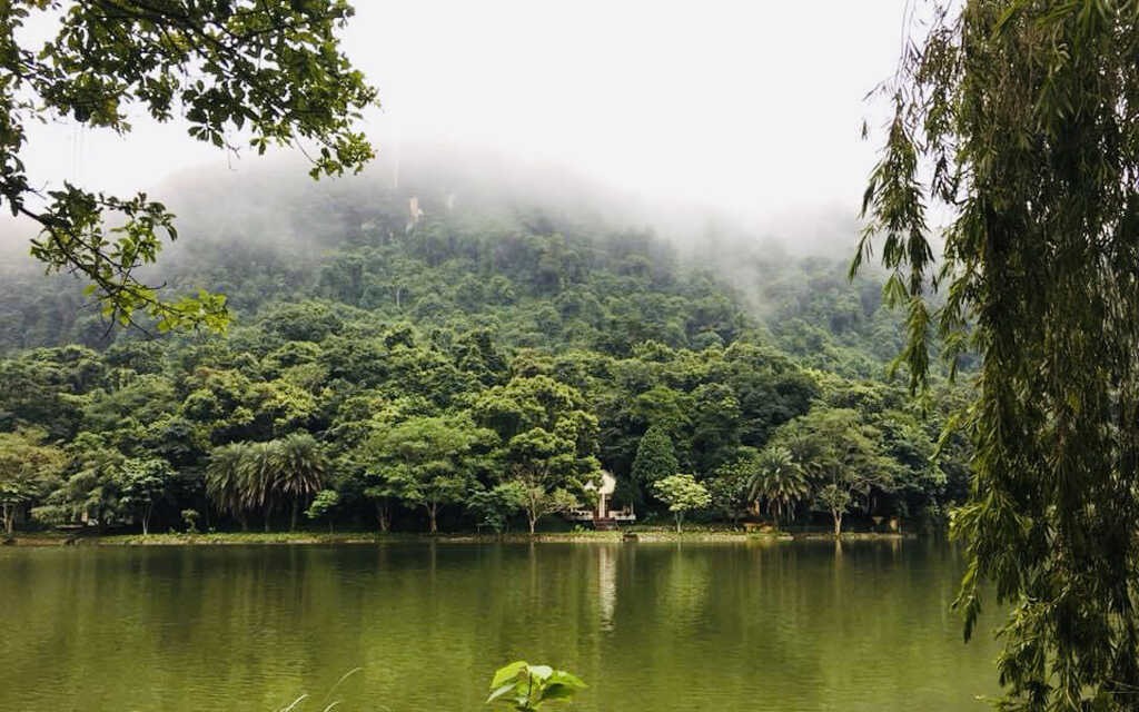 Enjoy A Peaceful Summer Vacation In Cuc Phuong National Park