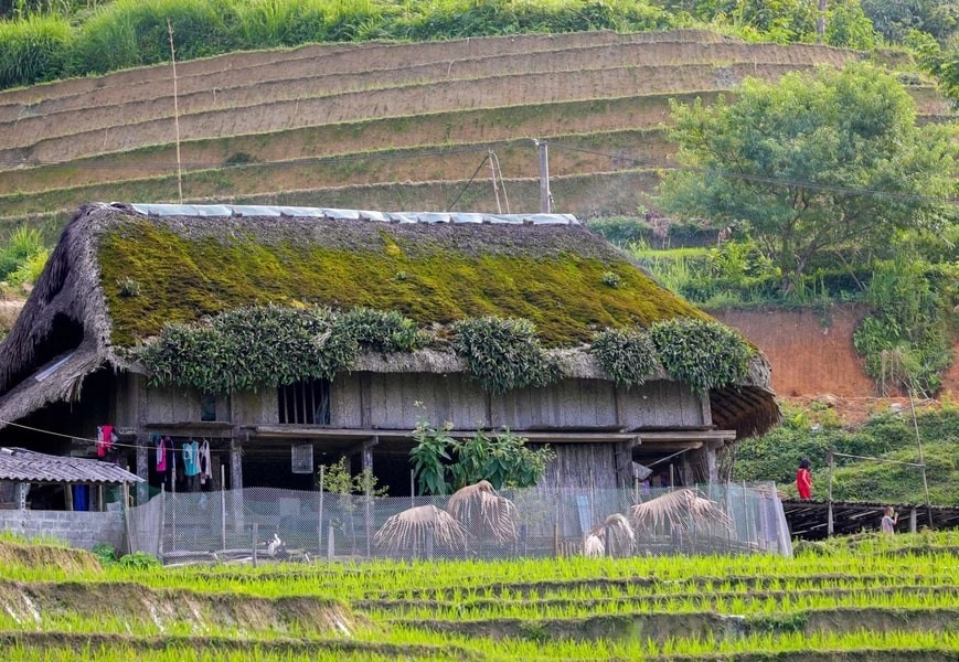 Xa Phin - The Dreamy Moss-Covered Village In Ha Giang