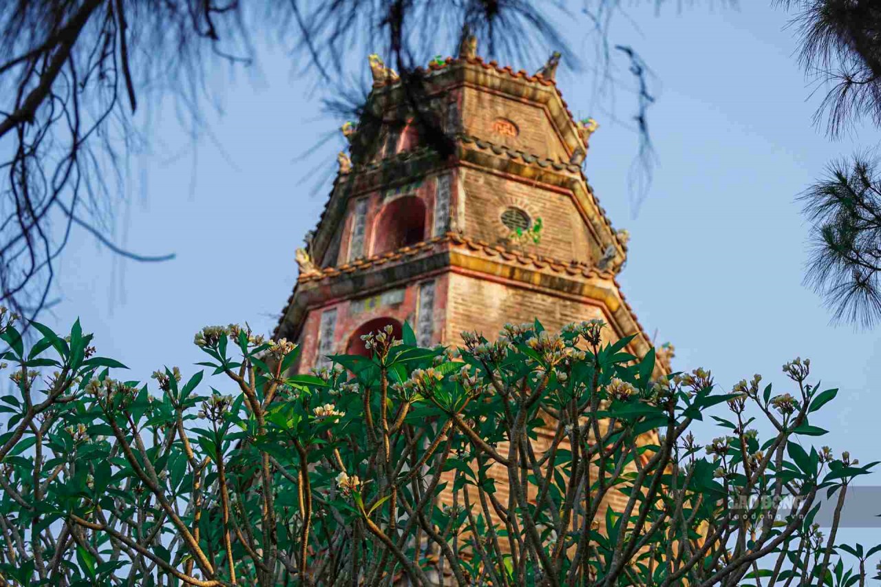 brilliant porcelain flowers bloom in the ancient capital of hue