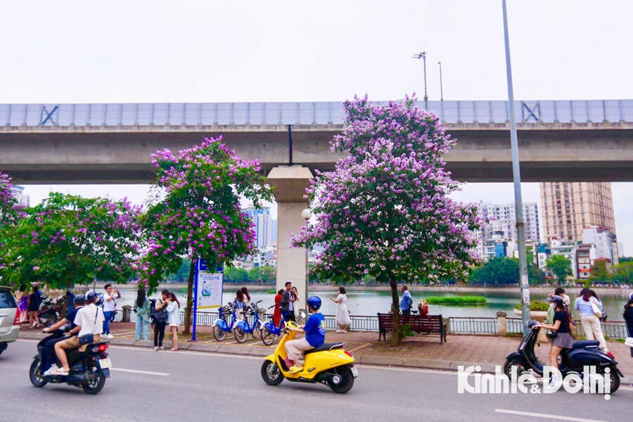Vietnam’s Weather Forecast (May 12): Rain Begins To Decrease In The Northern Region