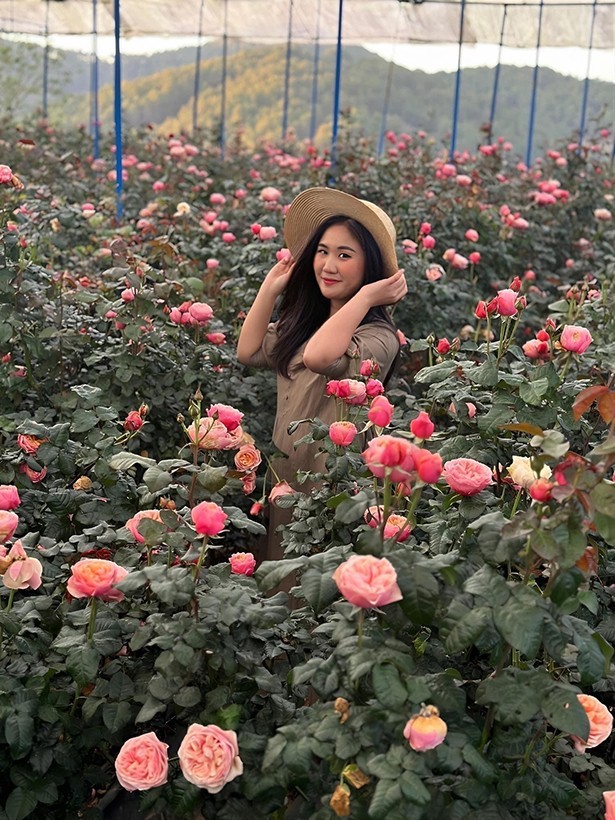 Explore The Petite Rose Valley In The Heart Of Da Lat