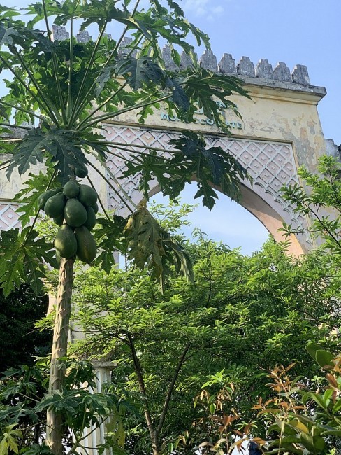 Hanoi's Morocco Gate To Get Major Restoration