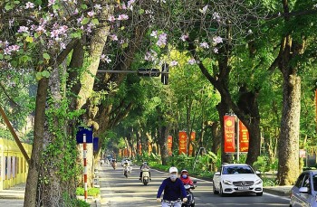 Vietnam's Weather Forecast (May 27): Rainy Morning And Sunny Afternoon In Hanoi