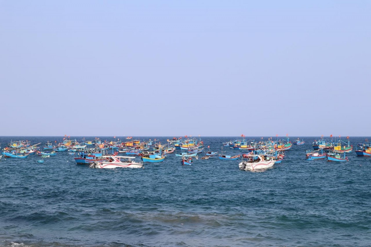 Visit The Most Beautiful Fishing Villages In Binh Dinh