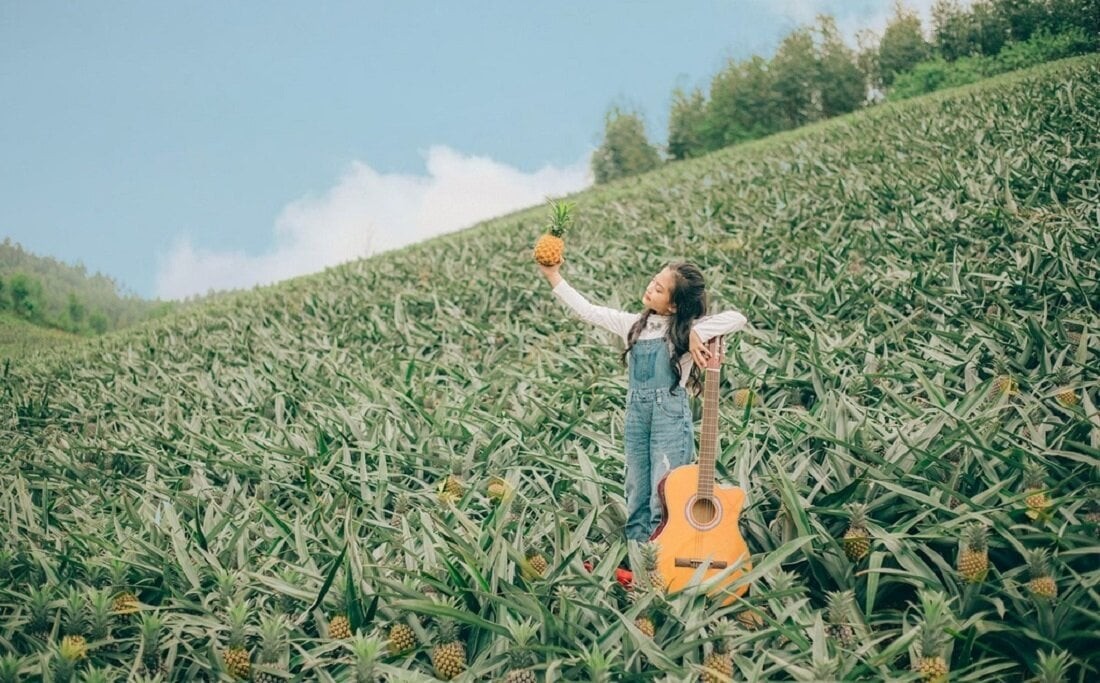 Tam Diep Pineapple Hill - A Unique Green Haven In Ninh Binh