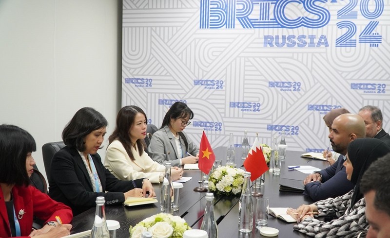 Vietnam Raises 3 Proposals at BRICS Dialogue