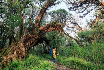 Conquer The Challenging Trekking Route Of Sa Mu Peak For A Weekend Getaway