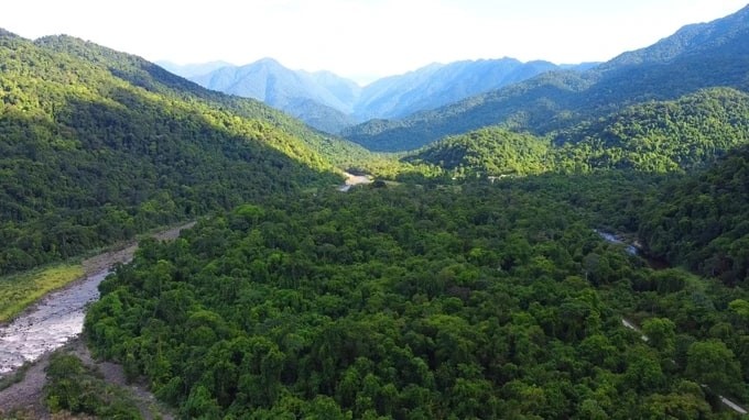 Experience The Breath-Taking Wilderness Of Vu Quang National Park