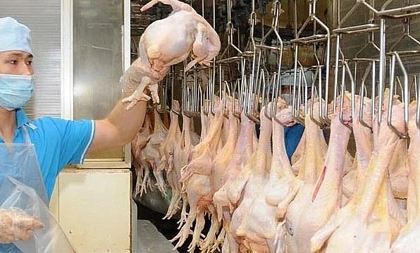 Vietnam Seeks to Develop Halal Industry