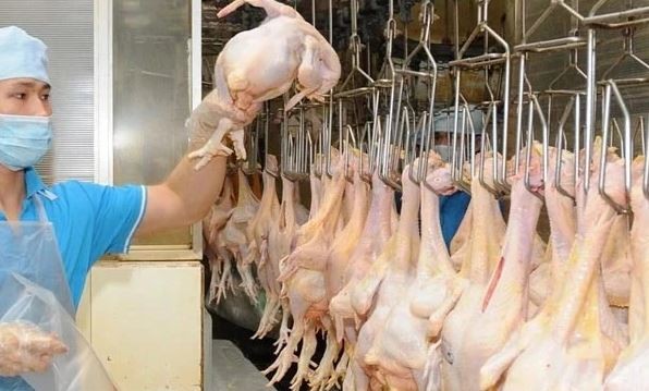 Vietnam Seeks to Develop Halal Industry