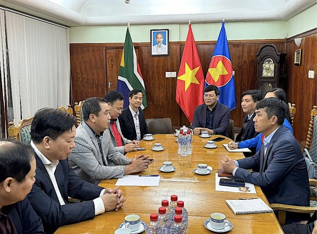 Hai Duong Province Promotes Trade And Investment Opportunities with South Africa