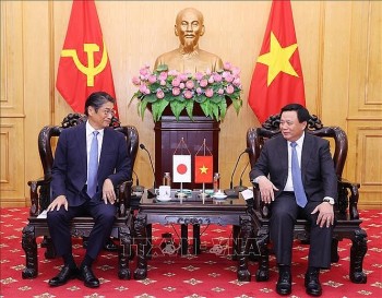 Vietnam, Japan Expected to Foster Cooperation in Diplomatic Exchanges at All Levels