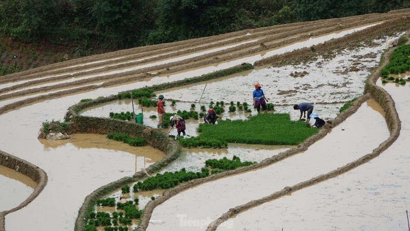 Admire The Alluring Scenic View Of Mu Cang Chai In Rainy Season