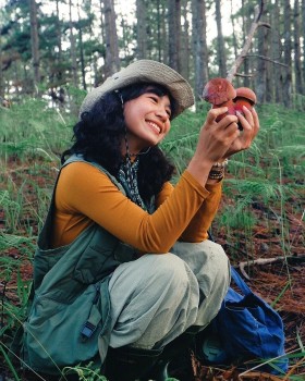 Experience Mushroom Hunting After Rainy Season In Da Lat