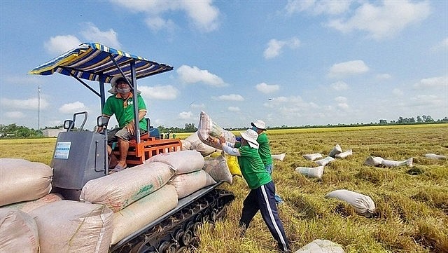 Photo: tapchicongthuong.vn