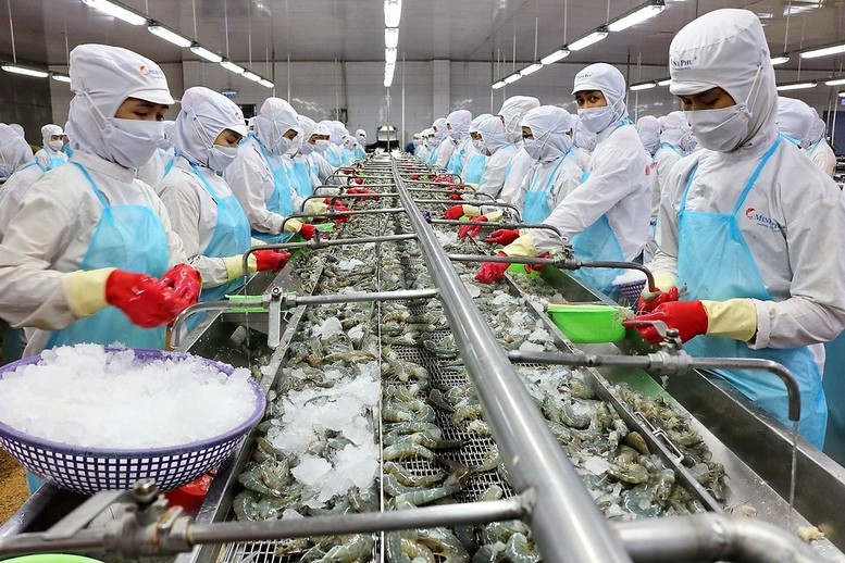 thuỷ sản article 2024Vietnamese seafood attracts customers in neighboring markets