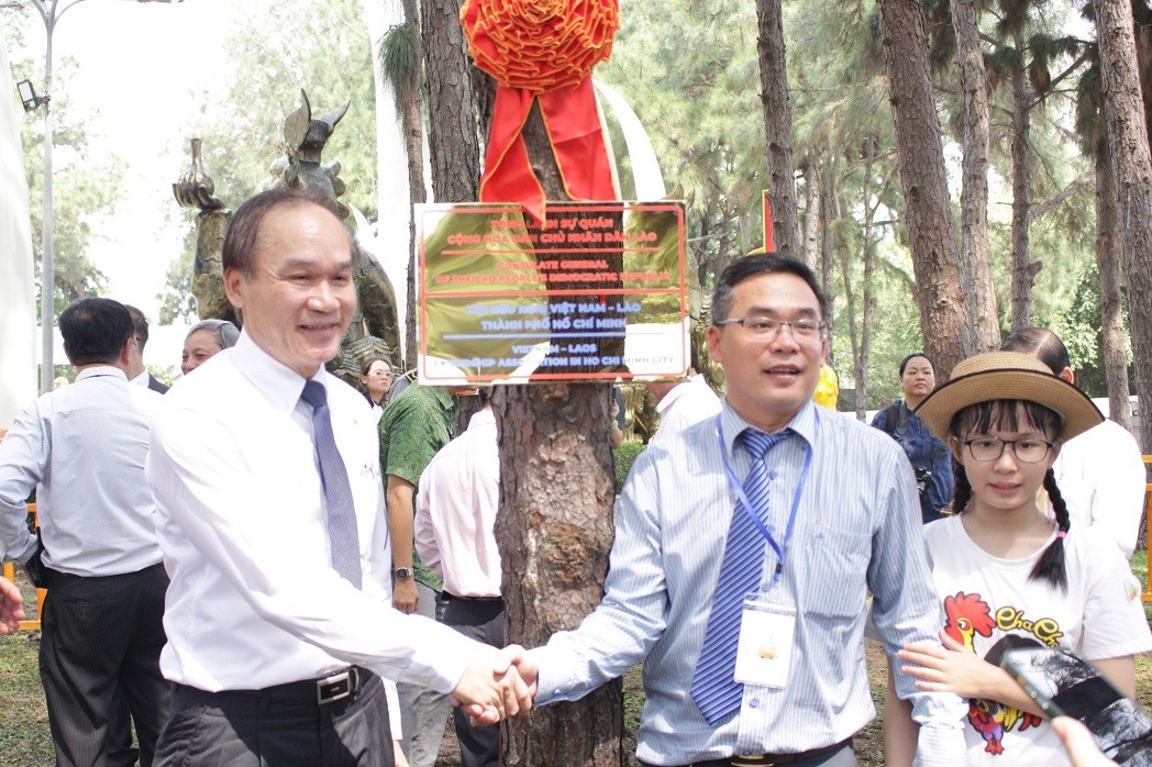 friendship pine garden symbol of solidarity cooperation and development