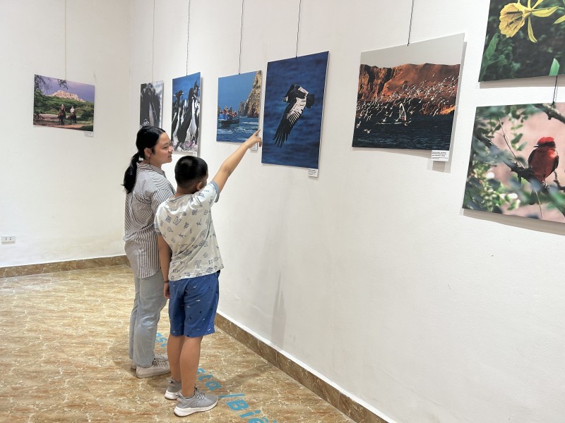 The photo exhibition attracts young children to visit and experience. 