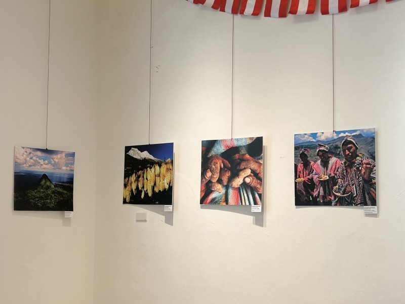 A corner displaying photos of the Peruvian mountains at the exhibition.