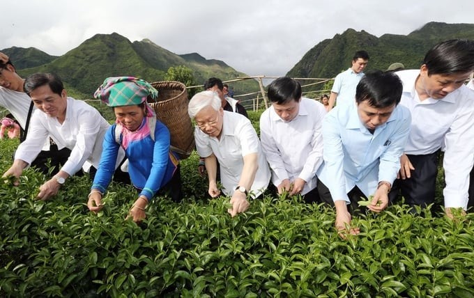 In July 2016, General Secretary Nguyen Phu Trong visited the people of Ban Bo commune, Tam Duong district, Lai Chau province, and worked with key leaders of Lai Chau province. He surveyed the high-quality tea production model following VietGap standards in Coc Phat village and participated in tea picking with the people of Ban Bo commune. (Photo: Nong nghiep Viet Nam)