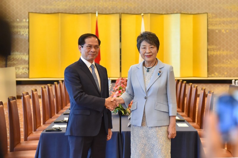 Foreign Minister Bui Thanh Son (L) and his Japanese counterpart Kamikawa Yoko (Photo: VNA)