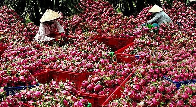 US Market Sees Robust Demand For Vietnamese Goods