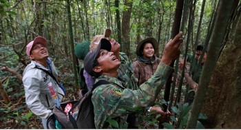 WWF Supports Quang Tri in Promoting Sustainable Rattan Supply Chain