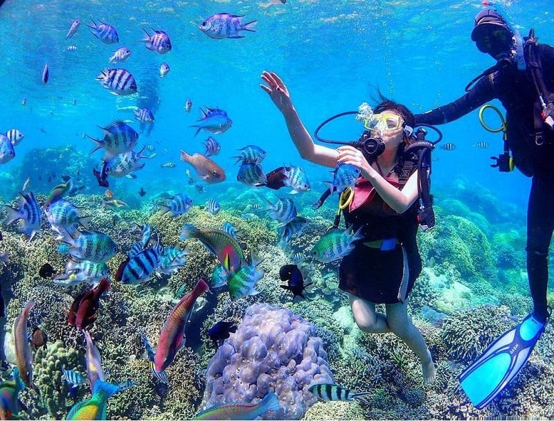 Nha Trang Among Top 5 Diving Destinations In Asia