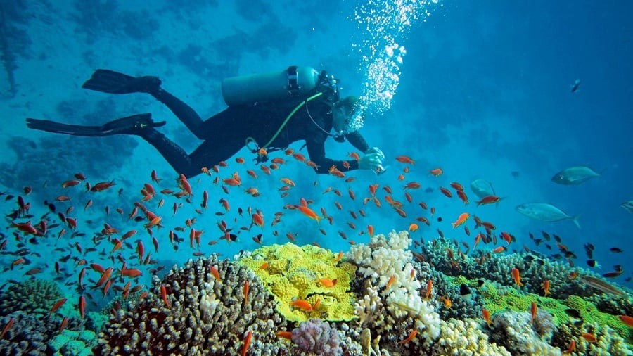 Nha Trang Among Top 5 Diving Destinations In Asia