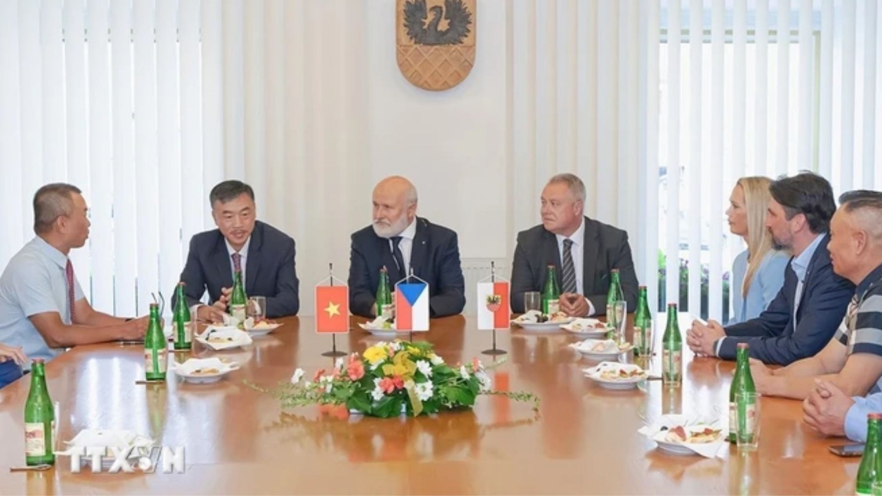 The working delegation from the Vietnamese Embassy in the Czech Republic visited and worked in Cheb city in Karlovy Vary province on August 14. (Photo: Ngoc Bien/VNA)