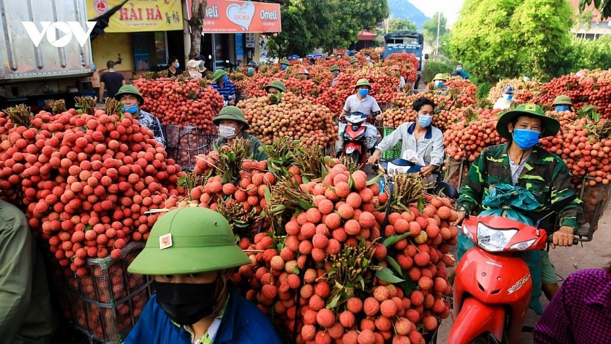 Alongside fresh durian, Vietnamese fresh lychee is also preferred by Chinese consumers.