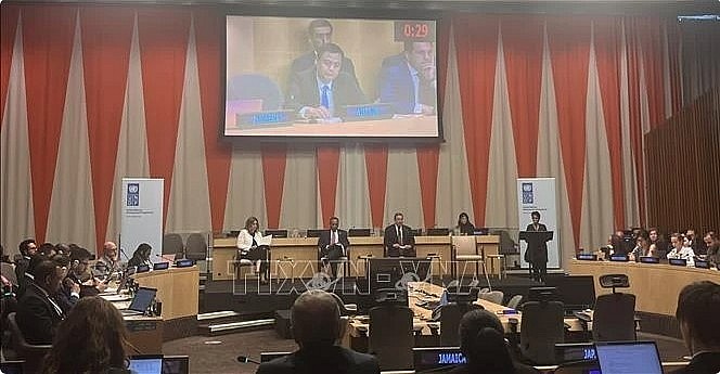 Ambassador Dang Hoang Giang, Permanent Representative of Vietnam to the UN, speaks at the UNDP Executive Board's dialogue with member states on actions to accelerate the adoption of sustainable energy for development.