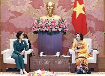 Vietnam News Today (Aug. 29): Vietnam, RoK Promote Measures Boost Trade