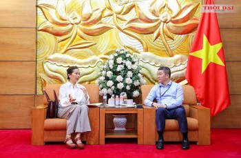 VUFO and the UN in Vietnam Promote Closer Cooperation