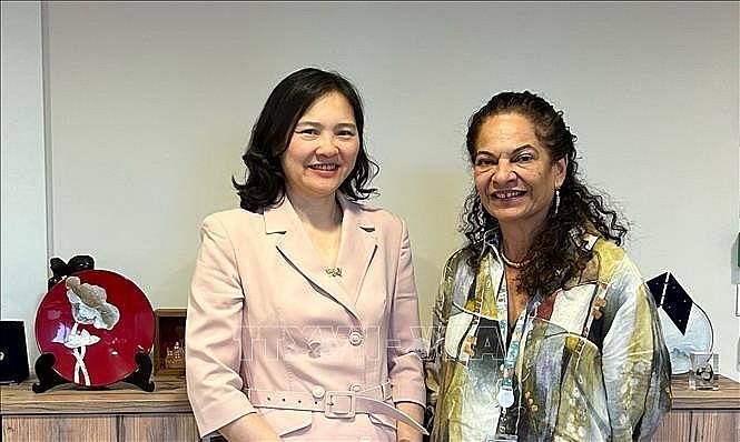 Ambassador Nguyen Thi Van Anh (L), Permanent Representative of Vietnam to UNESCO, and Assistant Director-General of UNESCO for Natural Sciences Lidia Arthur Brito at their meeting in Paris on August 30. (Photo: VNA)