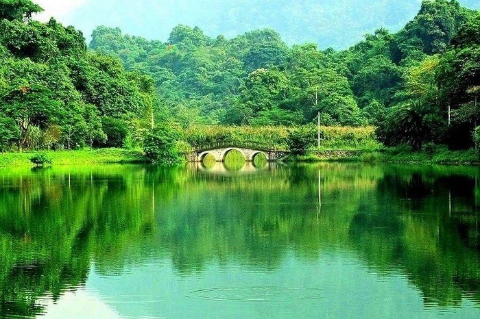 Vietnam News Today (Sep. 4): Vietnam’s Cuc Phuong Honored as Asia’s Leading National Park 2024