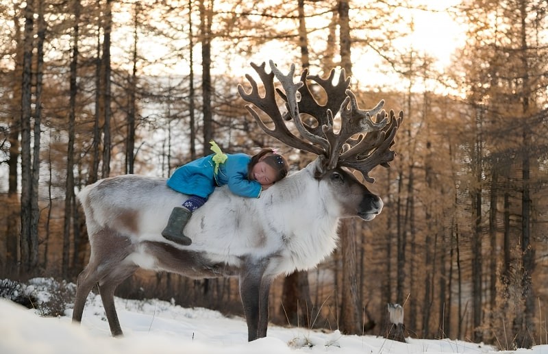 Yakutia: A Fiery Spirit Amidst the Frozen Wilderness