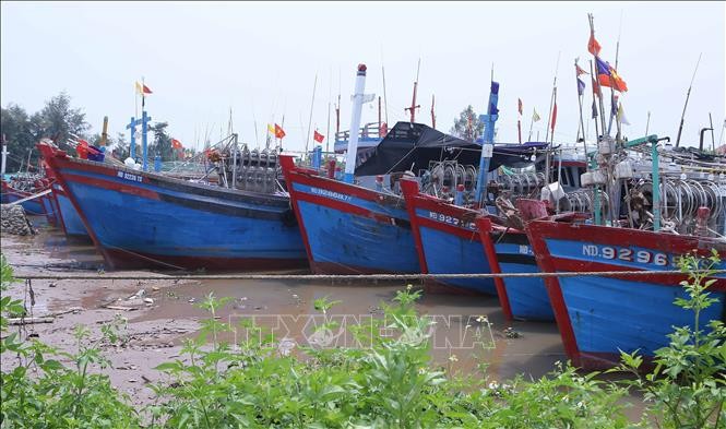 Ships anchor at fishing ports to avoid Typhoon Yagi. (Photo: VNA)