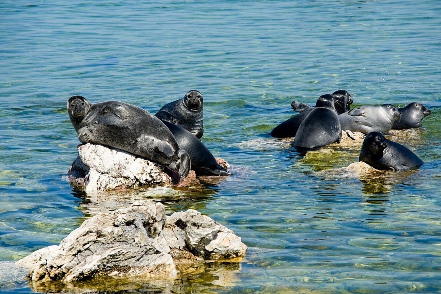 Explore Baikal: A Natural Wonder of Unmatched Depth