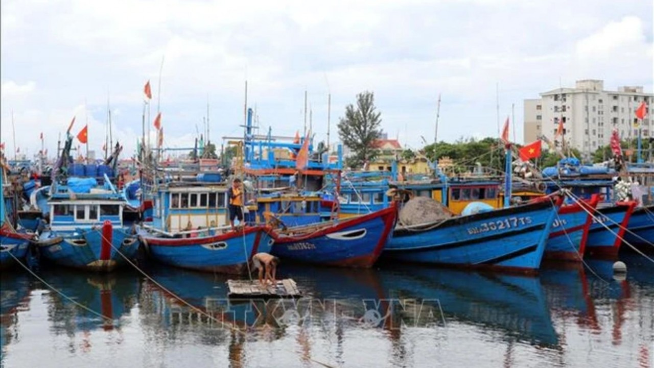 Vessels have been guided to dock in safe shelters (Photo: VNA)