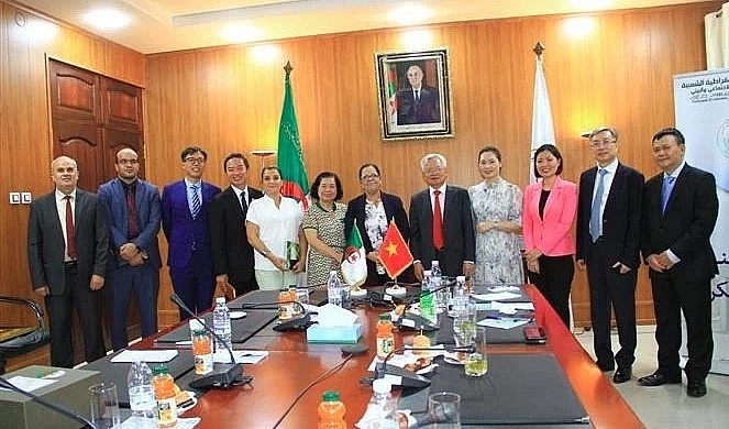 Delegation from the Central Theory Council of Vietnam visits National Economic, Social, and Environmental Council of Algeria (CNESE).