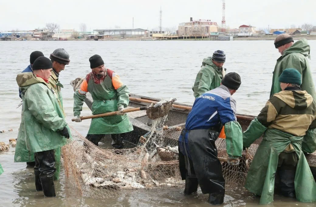 Astrakhan Dried Fish: Treasure of the Volga River