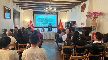 Vietnamese in Scandinavia Strengthen Bonds with Ho Chi Minh City