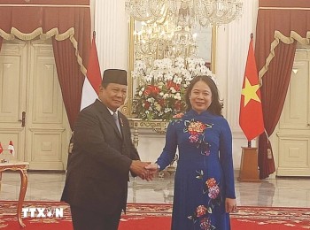 Vietnam - Indonesia Discuss Issues of Common Interest