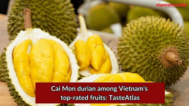 Cai Mon Durian among Vietnam's Top-rated Fruits: TasteAtlas