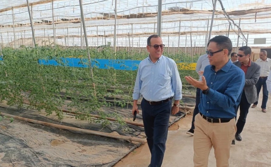 Algeria’s Province Wants to Promote Hi-tech Agriculture with Vietnam