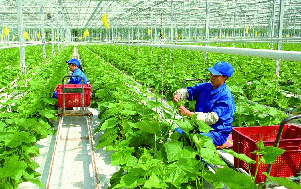 Vietnam - Australia Partner for Sustainable Agriculture and Workforce Development